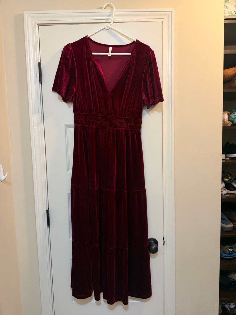 Simplicity Burgundy Velvet V-Neck Maxi Dress